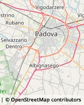 Agenzie di Animazione e Spettacolo Carrara San Giorgio,35020Padova