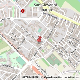 Mappa Via IV Novembre, 100, 37057 San Giovanni Lupatoto, Verona (Veneto)