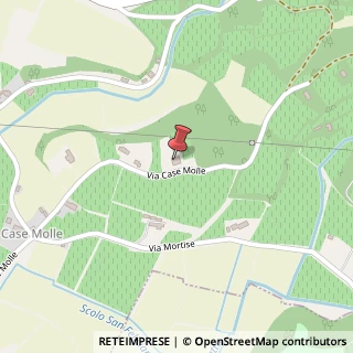 Mappa Via Mole, 14, 36045 Lonigo, Vicenza (Veneto)