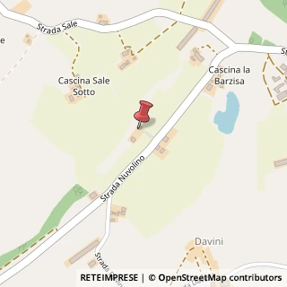 Mappa Strada Nuvolino, 24, 46090 Guidizzolo, Mantova (Lombardia)