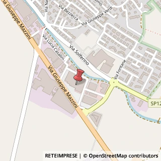 Mappa Via Giuseppe Mazzini, 109, 46043 Castiglione delle Stiviere, Mantova (Lombardia)