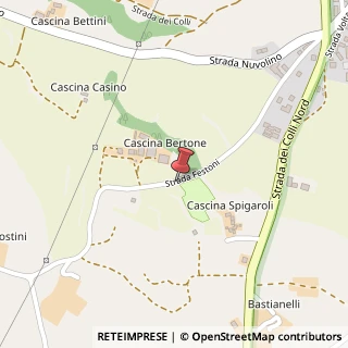Mappa Strada Festoni, 9, 46040 Guidizzolo, Mantova (Lombardia)