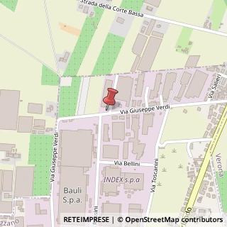 Mappa Via G. Verdi, 29, 37060 Castel d'Azzano, Verona (Veneto)