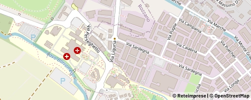 Mappa Rozzano