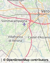 Frutta e Verdura - Dettaglio Villafranca di Verona,37069Verona