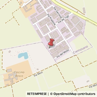 Mappa Via del Commercio, 20, 26010 Cremosano, Cremona (Lombardia)