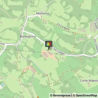 Aziende Agricole Val Liona,36040Vicenza