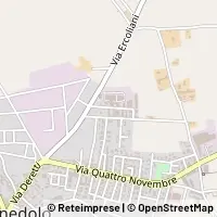 Map Carpenedolo
