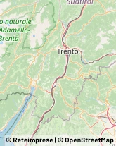 Articoli Sportivi - Dettaglio Trento,38123Trento