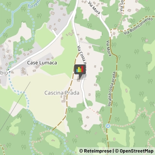 Agriturismi Bellagio,22021Como