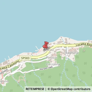 Mappa Via Pesca?, 1, 22025 Lezzeno, Como (Lombardia)