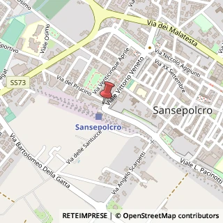 Mappa Viale Vittorio Veneto, 53, 52037 Sansepolcro, Arezzo (Toscana)