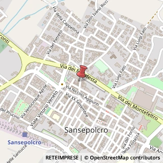 Mappa Via San Puccio, 44, 52037 Sansepolcro, Arezzo (Toscana)