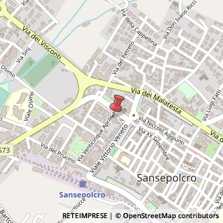 Mappa Viale Armando Diaz, 12, 52037 Sansepolcro, Arezzo (Toscana)