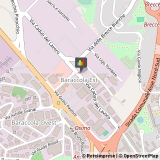 Cooperative Produzione, Lavoro e Servizi Ancona,60131Ancona