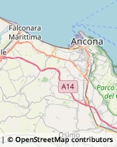 Mercerie Ancona,60131Ancona