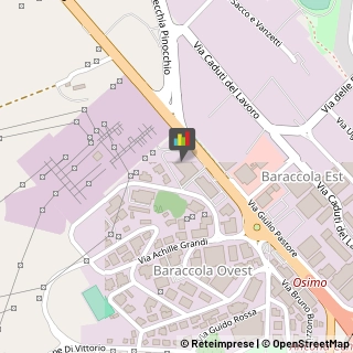 Tecniche - Scuole Private Ancona,60131Ancona