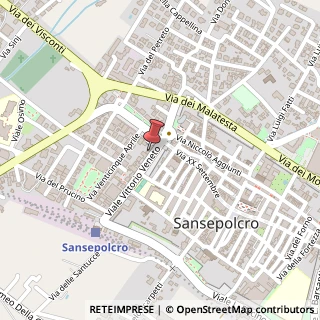 Mappa Viale Vittorio Veneto, 1/F, 52037 Sansepolcro, Arezzo (Toscana)