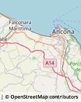 Trasporto Pubblico Ancona,60131Ancona