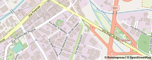 Mappa Livorno