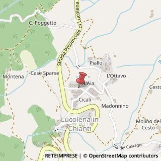 Mappa Via Gino Capponi,  9, 52100 Greve in Chianti, Firenze (Toscana)