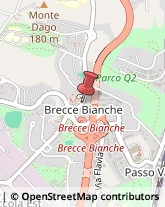 Via Brecce Bianche, 70,60131Ancona