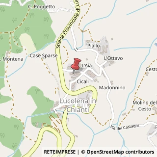 Mappa Via Case Sparse, 55, 50022 Greve in Chianti, Firenze (Toscana)