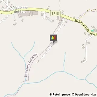 Bed e Breakfast San Marcello,60030Ancona