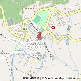 Mappa Via Roma, 1, 58037 Santa Fiora, Grosseto (Toscana)