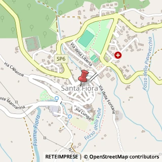 Mappa Via Giuseppe Garibaldi, 36, 58037 Santa Fiora, Grosseto (Toscana)