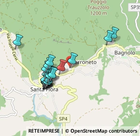 Mappa Via Ferdinando di Giulio, 58037 Santa Fiora GR, Italia (0.8765)