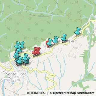 Mappa Via Ferdinando di Giulio, 58037 Santa Fiora GR, Italia (0.60833)