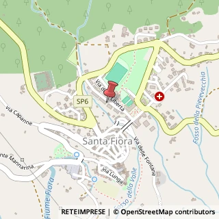 Mappa Viale marconi, 58037 Santa Fiora, Grosseto (Toscana)