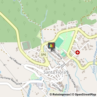 Sartorie Santa Fiora,58037Grosseto