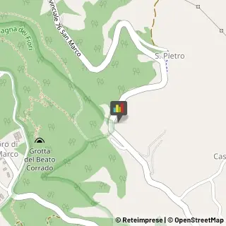 Animali Domestici - Centri Allevamento e Addestramento,63100Ascoli Piceno