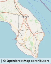 Pesce - Lavorazione e Commercio Tricase,73039Lecce