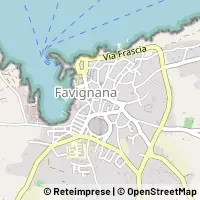 Map Favignana