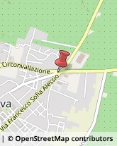 Via Francesco Sofia Alessio, 140,89029Taurianova