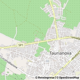 Mappa 89029
