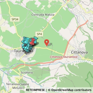 Mappa SS 111 km 17+700, 89029 Taurianova RC, Italia (2.039)