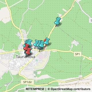 Mappa SS 536 Km 0, 89029 Taurianova RC, Italia (0.9035)