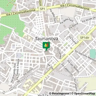 Via Due Franchi, 1, 89029 Taurianova RC, ,89029Taurianova