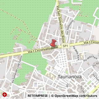 Mappa Via Circonvallazione, 149, 89029 Taurianova, Reggio di Calabria (Calabria)