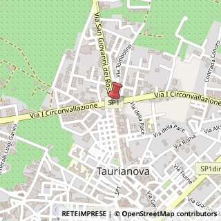 Mappa Contrada Schiacco, 89029 Taurianova, Reggio di Calabria (Calabria)