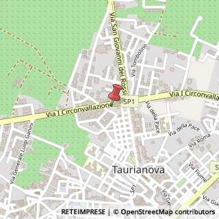 Mappa Via Circonvallazione Nord, 137, 89029 Taurianova, Reggio di Calabria (Calabria)