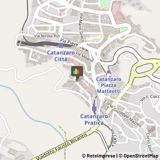 Consulenza Industriale,88100Catanzaro