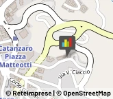 Provincia e Servizi Provinciali Catanzaro,88100Catanzaro