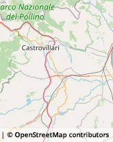 Ortofrutticoltura Castrovillari,87012Cosenza