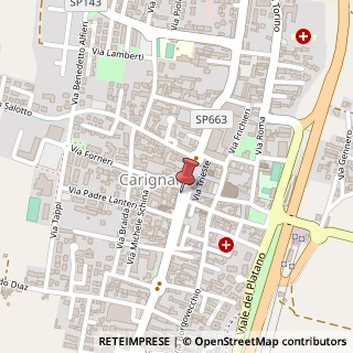Mappa Piazza Carlo Alberto, 62, 10041 Carignano, Torino (Piemonte)