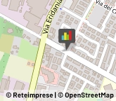 Autoscuole Occhiobello,45030Rovigo